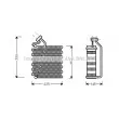 AVA QUALITY COOLING CRV043 - Evaporateur climatisation