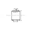 AVA QUALITY COOLING DU2077 - Radiateur, refroidissement du moteur