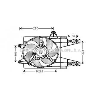 AVA QUALITY COOLING FT7506 - Ventilateur, refroidissement du moteur