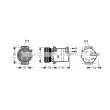 AVA QUALITY COOLING FTAK383 - Compresseur, climatisation