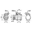 AVA QUALITY COOLING JEK056 - Compresseur, climatisation