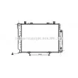 Radiateur, refroidissement du moteur AVA QUALITY COOLING [MSA2144]