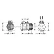 AVA QUALITY COOLING MSK097 - Compresseur, climatisation