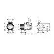 AVA QUALITY COOLING MSK429 - Compresseur, climatisation