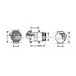 AVA QUALITY COOLING MSK434 - Compresseur, climatisation