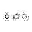 AVA QUALITY COOLING MSK569 - Compresseur, climatisation