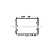 Radiateur, refroidissement du moteur AVA QUALITY COOLING [MT2007]