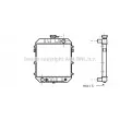 AVA QUALITY COOLING OL2010 - Radiateur, refroidissement du moteur