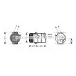 AVA QUALITY COOLING OLAK430 - Compresseur, climatisation