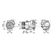 AVA QUALITY COOLING OLK605 - Compresseur, climatisation