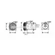 AVA QUALITY COOLING REK072 - Compresseur, climatisation