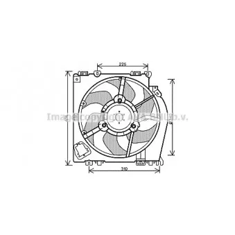 Ventilateur, refroidissement du moteur AVA QUALITY COOLING OEM 069422810010