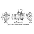 AVA QUALITY COOLING TOK618 - Compresseur, climatisation