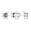 AVA QUALITY COOLING UVK036 - Compresseur, climatisation