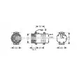 AVA QUALITY COOLING VLK062 - Compresseur, climatisation