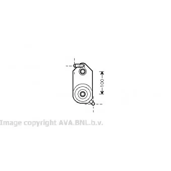 AVA QUALITY COOLING VW3110 - Radiateur d'huile de boîte automatique
