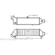 AVA QUALITY COOLING VW4136 - Intercooler, échangeur