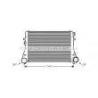 AVA QUALITY COOLING VW4227 - Intercooler, échangeur