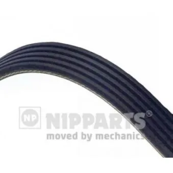 Courroie trapézoïdale à nervures NIPPARTS OEM F80715907