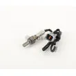 BOSCH 0 258 006 702 - Sonde lambda