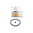 BOSCH 1 457 431 700 - Filtre à carburant