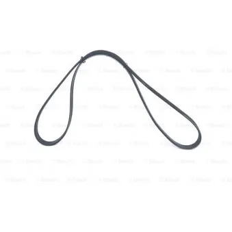 Courroie trapézoïdale à nervures BOSCH OEM LF5115908B
