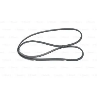 Courroie trapézoïdale à nervures BOSCH OEM V88AB6C301BB