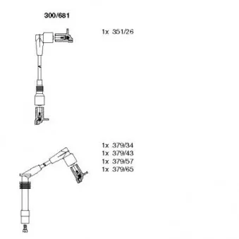 Kit de câbles d'allumage BREMI OEM 1612606