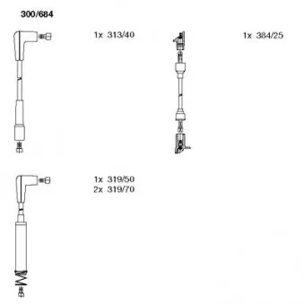 Kit de câbles d'allumage BREMI OEM 1612524