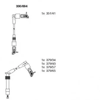 Kit de câbles d'allumage BREMI OEM 1612607