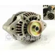 Alternateur NIPPARTS [J5114025]