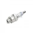 Bougie d'allumage BOSCH [0 241 229 580]