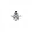 BOSCH 0 241 245 555 - Bougie d'allumage