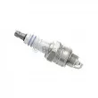 BOSCH 0 242 219 512 - Bougie d'allumage