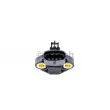 BOSCH 0 281 002 244 - Capteur, pression de suralimentation