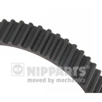 Courroie crantée NIPPARTS OEM 2431239400