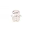 BOSCH 0 450 905 275 - Filtre à carburant