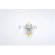 BOSCH 0 450 905 926 - Filtre à carburant