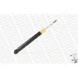 MONROE G43147 - Jeu de 2 amortisseurs avant