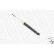 MONROE G43147 - Jeu de 2 amortisseurs avant