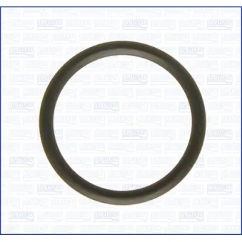 Joint d'étanchéité, thermostat AJUSA 00538000