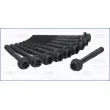 AJUSA 81025400 - Jeu de boulons de culasse de cylindre