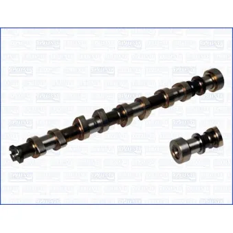 Arbre à came AJUSA OEM 1663891