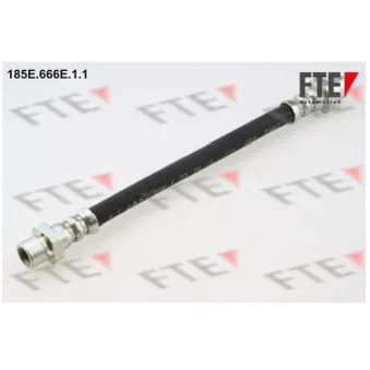 FTE 185E.666E.1.1 - Flexible de frein