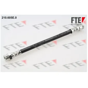 FTE 210.605E.0 - Flexible de frein