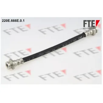 FTE 220E.666E.0.1 - Flexible de frein