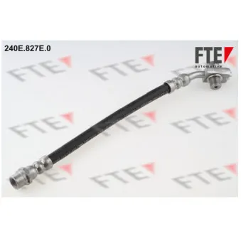 FTE 240E.827E.0 - Flexible de frein