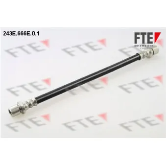 FTE 243E.666E.0.1 - Flexible de frein