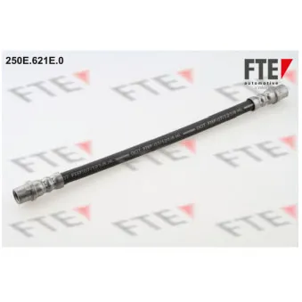 FTE 250E.621E.0 - Flexible de frein