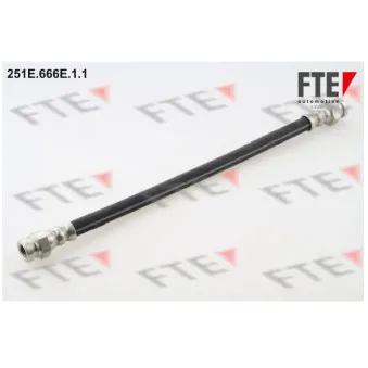 FTE 251E.666E.1.1 - Flexible de frein